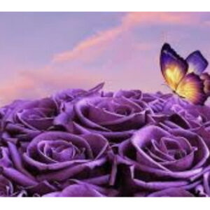 dorothy delarosa Gallery