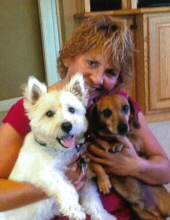 kristine brown