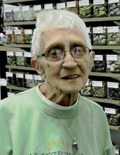donna studt