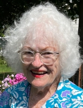 shirley duster
