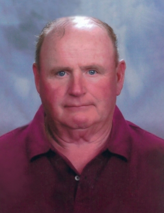 donald o'hara