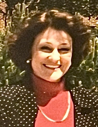 anne sargent