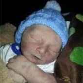 brantley arnold