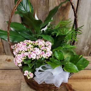 Stewart Baxter Funerals - English Plant Garden