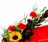 State Cardinal Red and Yellow - Stewart Funeral Home Flowers