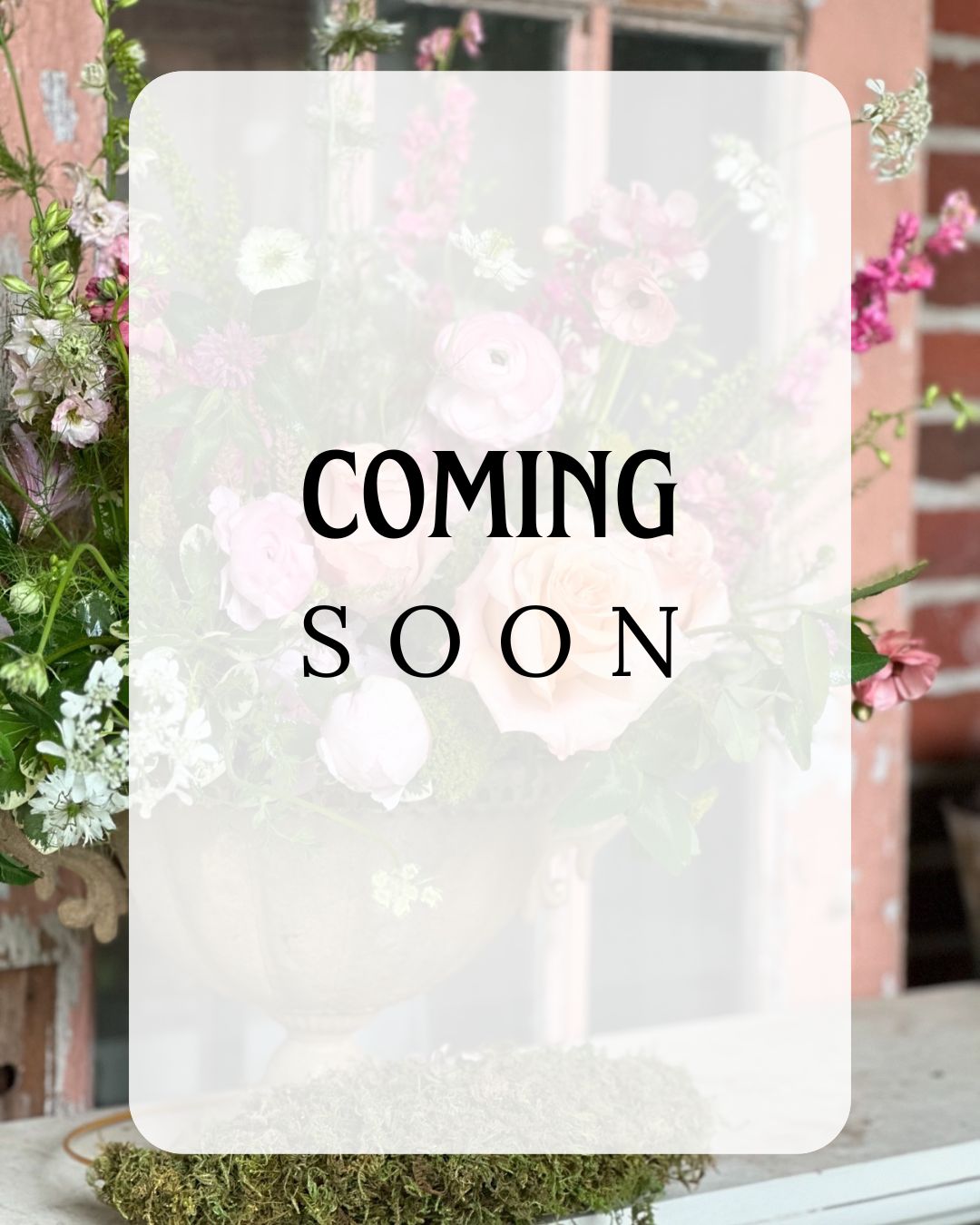 Unique Green Plant with Willow Heart Tribute - Stewart Funeral Home Flowers